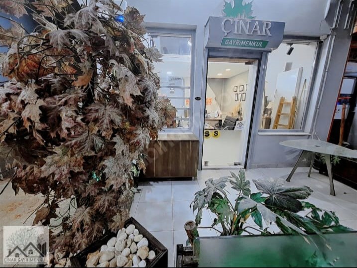 Çınar Gayrimenkul